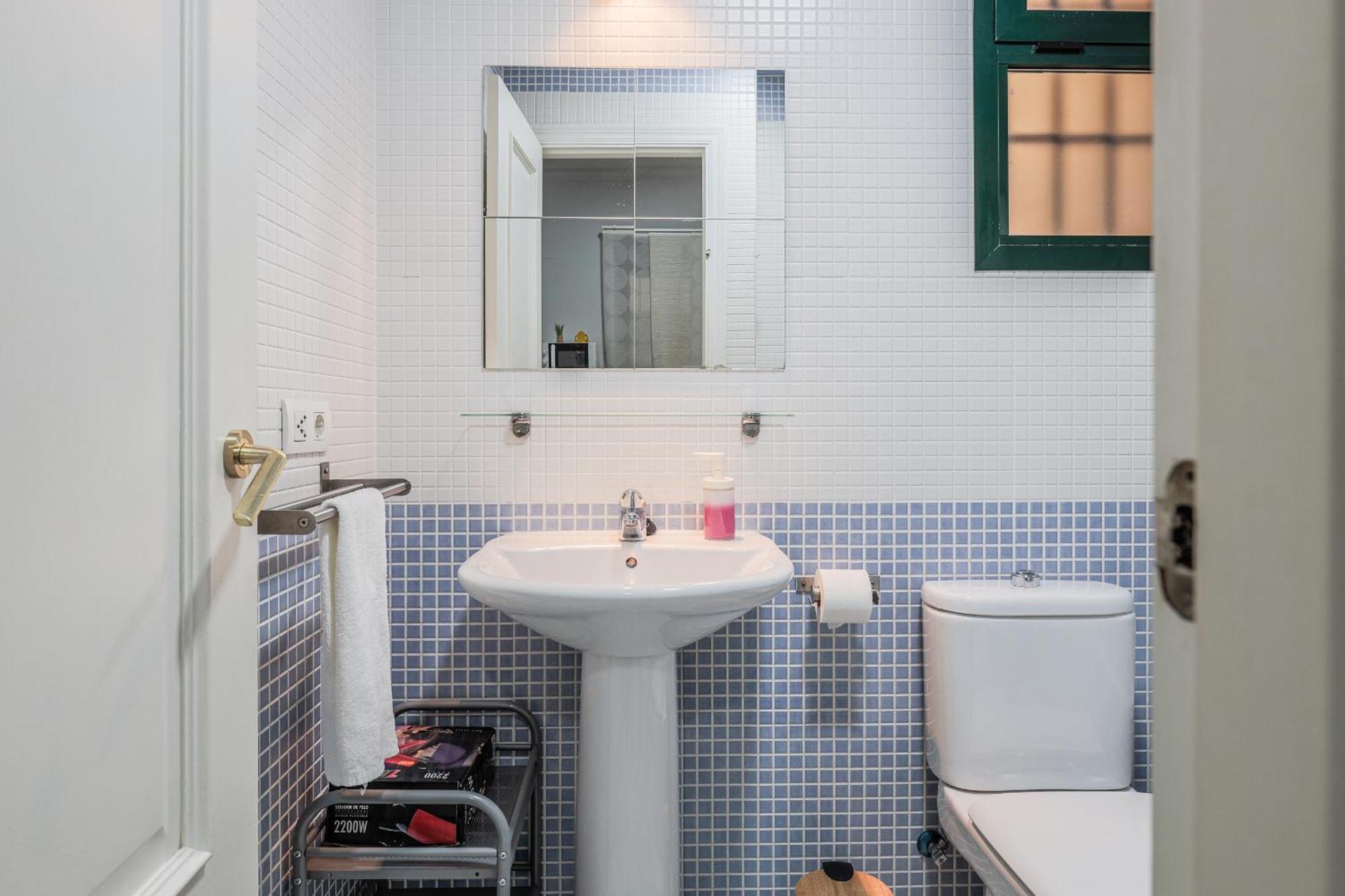 Apartment Castilla 141